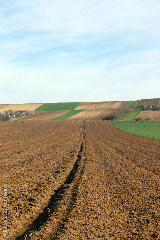 green wheat and plowed fields landscapes agriculture