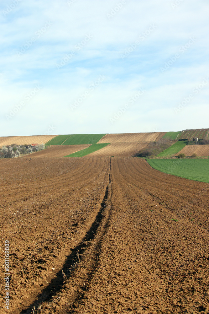 green wheat and plowed fields landscapes agriculture green wheat and plowed fields landscapes agriculture