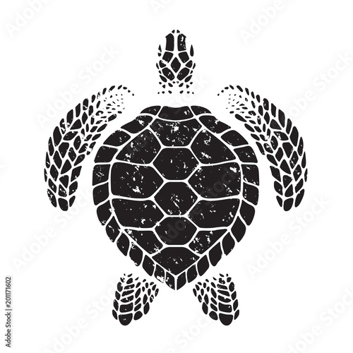 graphic sea turtle, vector