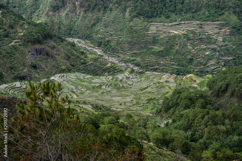 Rice Terraces