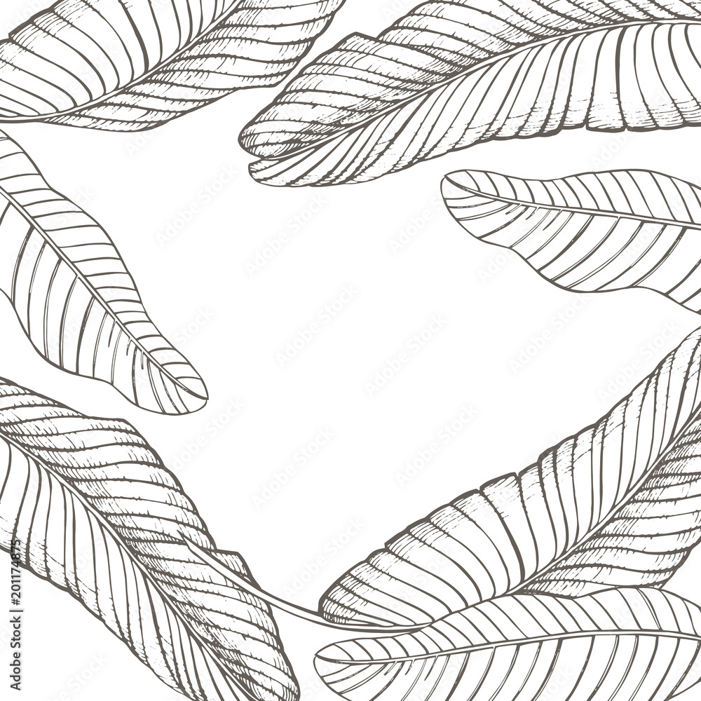 Summer tropical leaves vector design. Floral background illustration. Invitation or card design with jungle leaves.