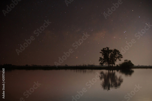 Lake in the night with the stars in the sky and the reflection of the trees and the sky. Landscape background.