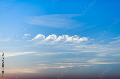 Dusk sky with beautiful cirrus clouds