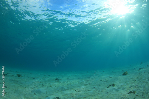 Fototapeta Naklejka Na Ścianę i Meble -  Underwater ocean background