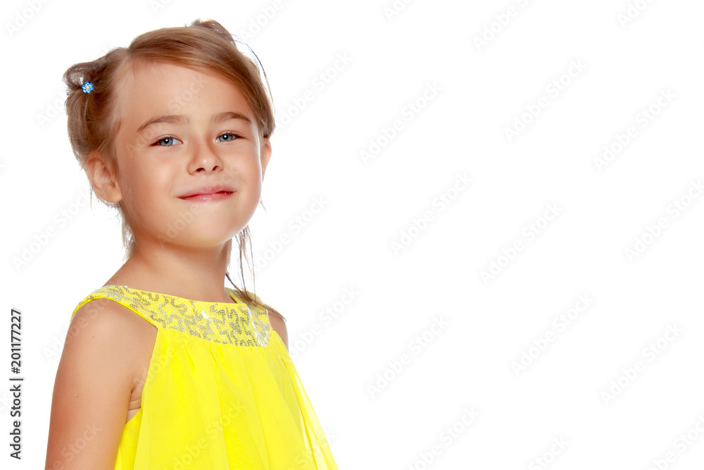 Fashionable little girl in a dress Fashionable little girl in a dress