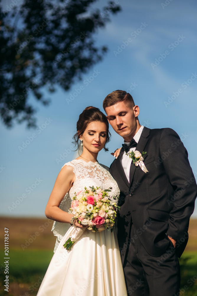 Wedding couple stands on the blue sky background Wedding couple stands on the blue sky background