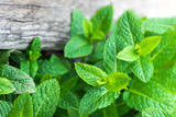 Fresh mint leaf, lemon balm herb on wooden background with copyspace, close up.