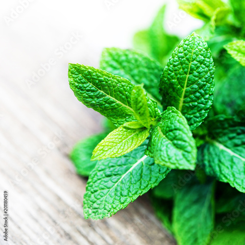 Fresh mint leaf,  lemon balm herb on wooden background with copyspace, close up.