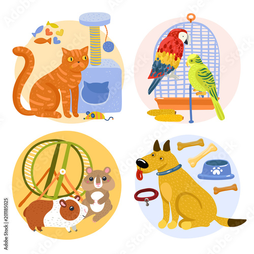 Pets Design Concept