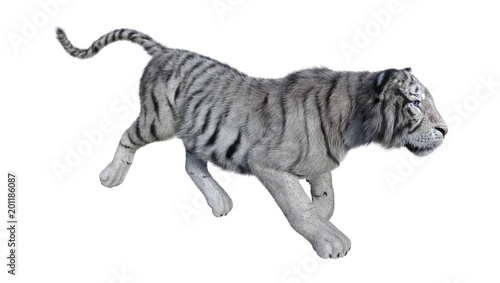 Fototapeta Naklejka Na Ścianę i Meble -  3D Rendering White Tiger on White
