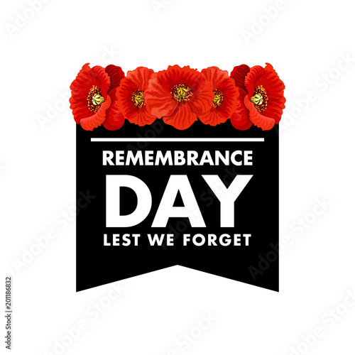 Vector for Remembrance day