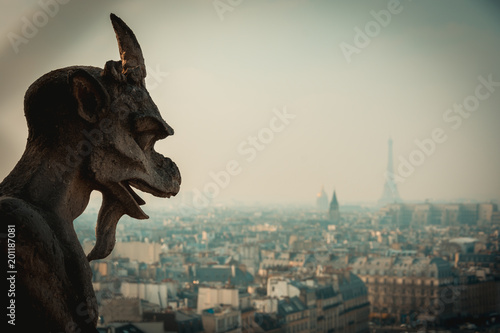  La increible vista desde la catedral Notre Dame de Paris