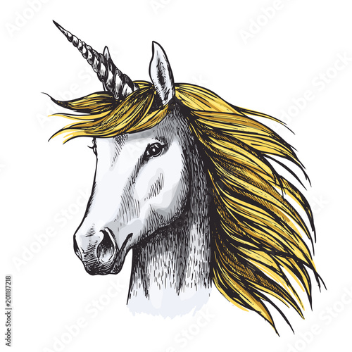 Unicorn horse sketch of fairy or heraldic animal