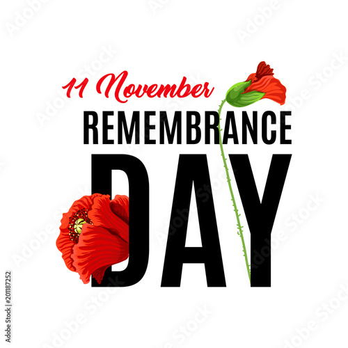 11 of November Remembrance day