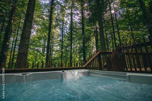 Hot tub in forest