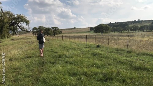 Teenage boy approaching horse