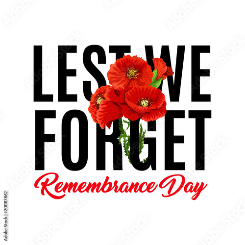 Remembrance day vector poppy icons