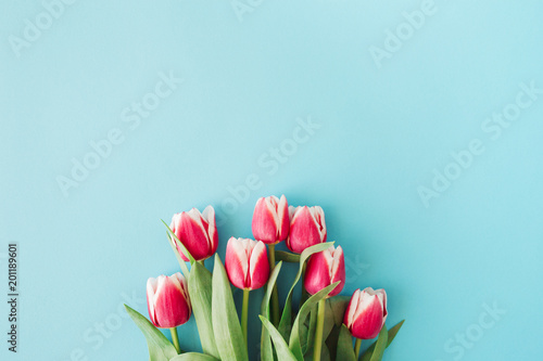 Beautiful bouquet of pink tulips on blue background. Top view, holiday greeting card, flat lay.