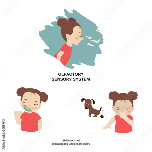 Illustration of human senses