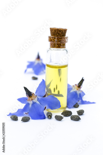 Borage oil (Borago officinalis); flowers and seeds on white background