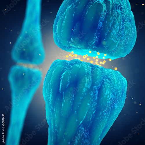 Photos Synaptic transmission , Brain synapses and human nervous system