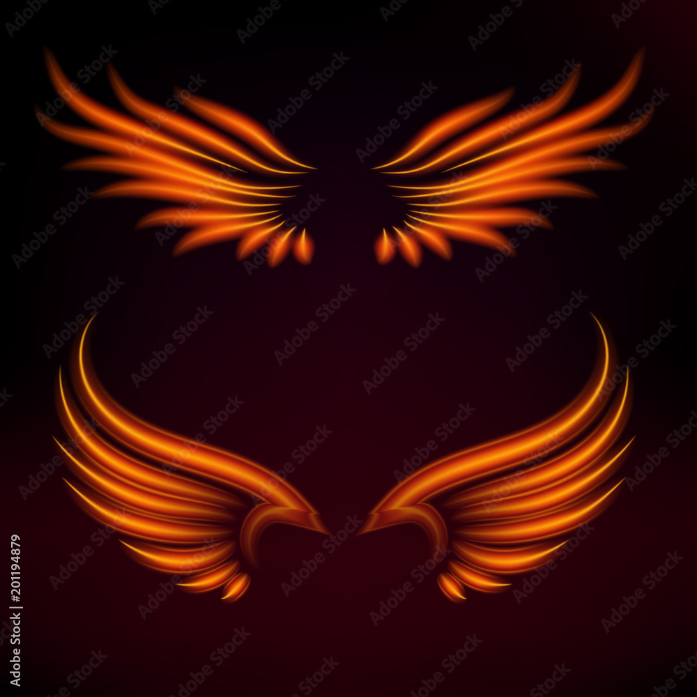 Bird fire wings vector fantasy feather burning fly mystic glow fiery burn hot art wings illustration on black. Bird fire wings vector fantasy feather burning fly mystic glow fiery burn hot art wings illustration on black.