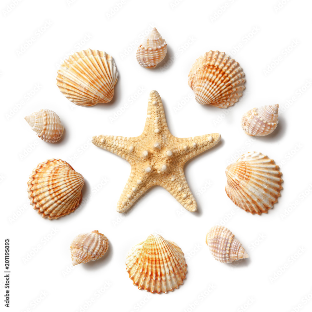 Pattern of seashells and starfish isolated on a white background. Pattern of seashells and starfish isolated on a white background.