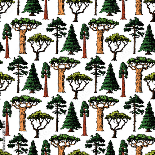 Vector tree sketch hand drawn style types green forest pine treetops collection of birch, cedar and acacia or greenery garden with palm and sakura illustration seamless pattern background