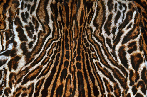 leopard background texture