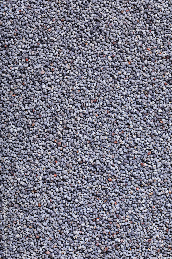 whole poppy seeds whole poppy seeds