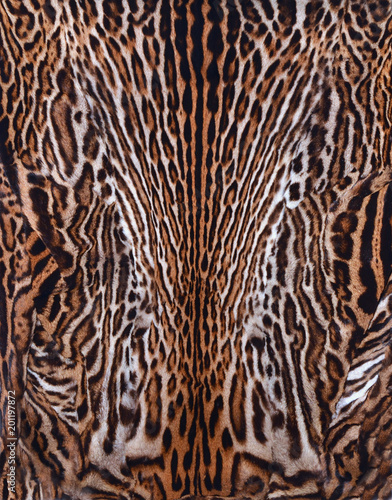 leopard  background texture