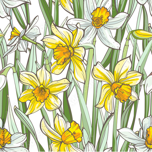 Seamless floral pattern on white background. Hand-drawn flowers - Daffodil.