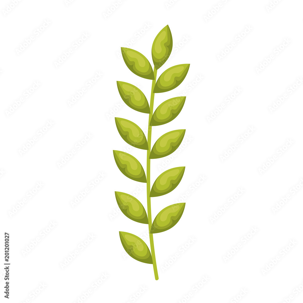 branch with leafs decorative icon vector illustration design branch with leafs decorative icon vector illustration design