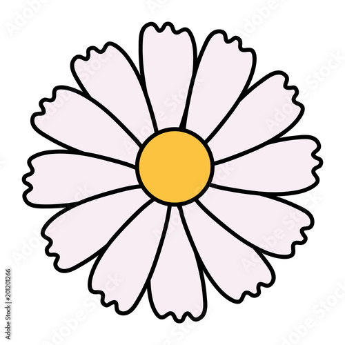 beautiful flower decorative icon vector illustration design