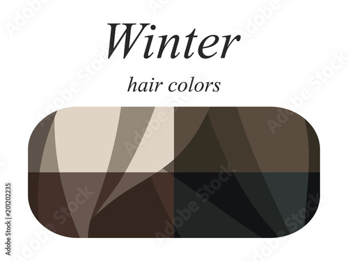 Stock vector seasonal color analysis palette for winter type of female appearance. Hair colors for winter type. 