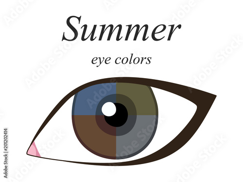 Stock vector seasonal color analysis palette for summer type of female appearance. Eye colors for summer type. 