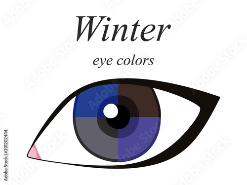 Stock vector seasonal color analysis palette for winter type of female appearance. Eye colors for winter type. 