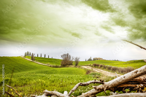 Fototapeta Naklejka Na Ścianę i Meble -  Spring landscape of Tuscany 