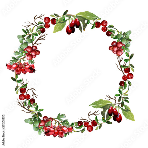 Wreath of branches and berries.