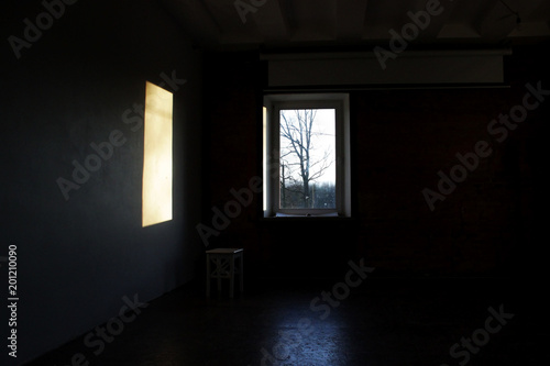rectangular light from the window in a dark photo studio. in the window there is a tree that grows on the street.