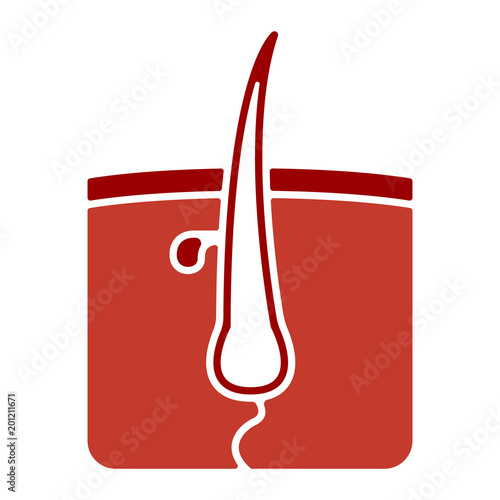Organe Icon - Haut