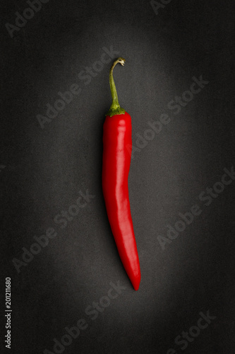 Single fresh red chilli on dark background