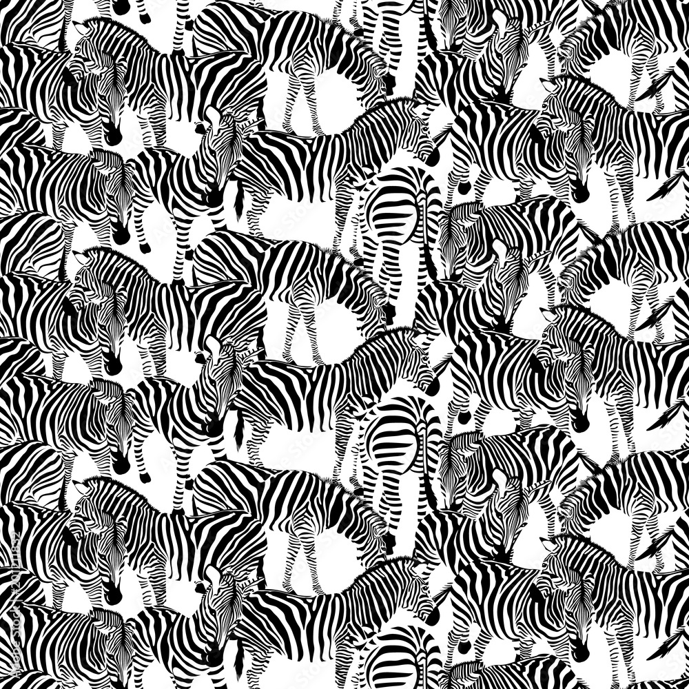 Zebra seamless pattern. Wild animal texture. Striped black and white. design trendy fabric texture, illustration.