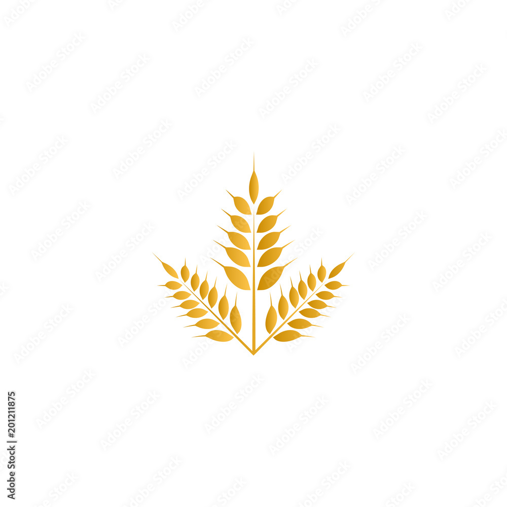 Wheat yellow logo icon template vector Wheat yellow logo icon template vector