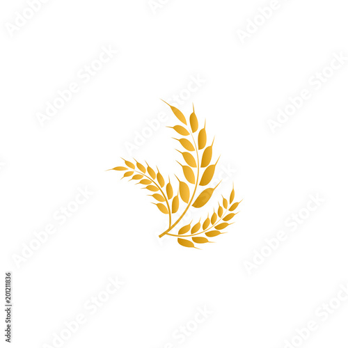 Wheat yellow logo icon template vector