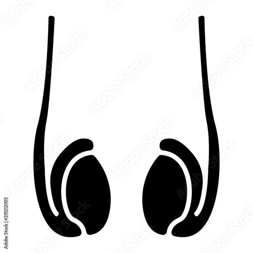 Organe Icon - Hoden