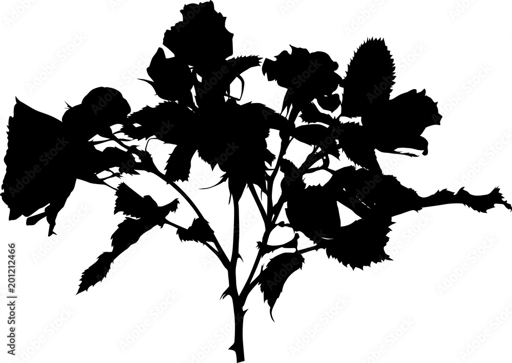 black silhouette of rose bush flower isolated on white Stock Vector | Adobe  Stock