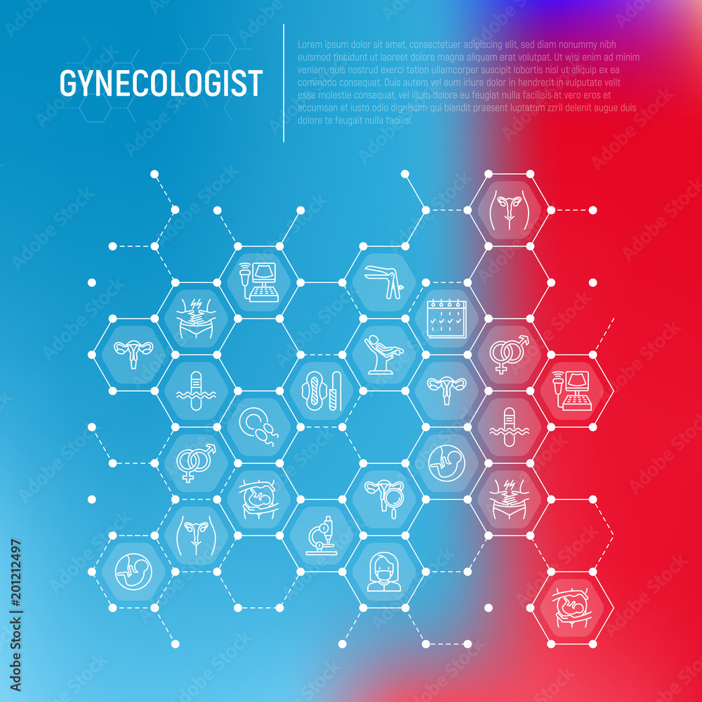 Gynecologist concept in honeycombs with thin line icons: uterus, ovaries, gynecological chair, pregnancy, ultrasound, sanitary napkin, test, embryo, menstruation, ovulation. Modern vector illustration