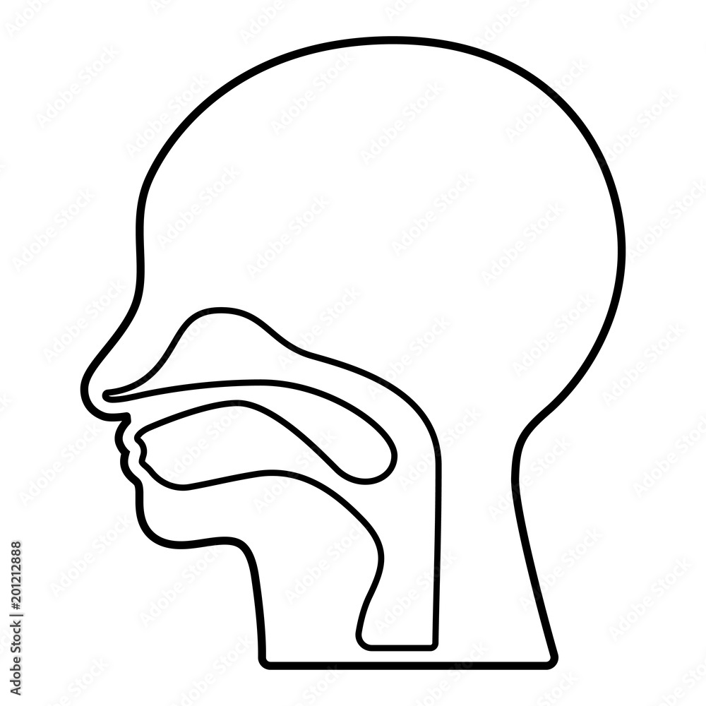 Medizin & Gesundheit Icon - Kopf Medizin & Gesundheit Icon - Kopf
