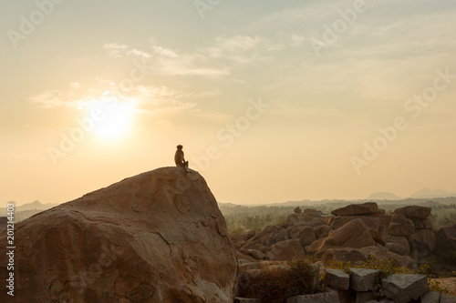The monkey sees off the sunset. Incredible landscape with a wild monkey, sitting on a rock among the mountains.